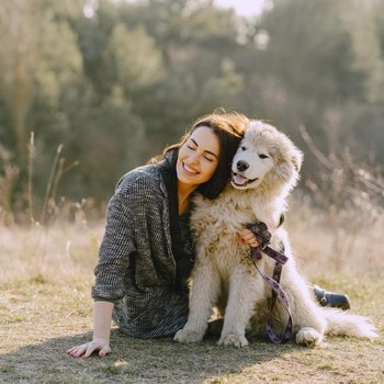 5 Tanda Anjing Bahagia Tinggal Bersama Pemiliknya