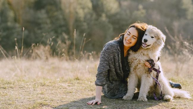 5 Tanda Anjing Bahagia Tinggal Bareng Pemiliknya