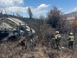 8 Fakta Sopir Travel Asal Toraja Dibunuh KKB di Wamena