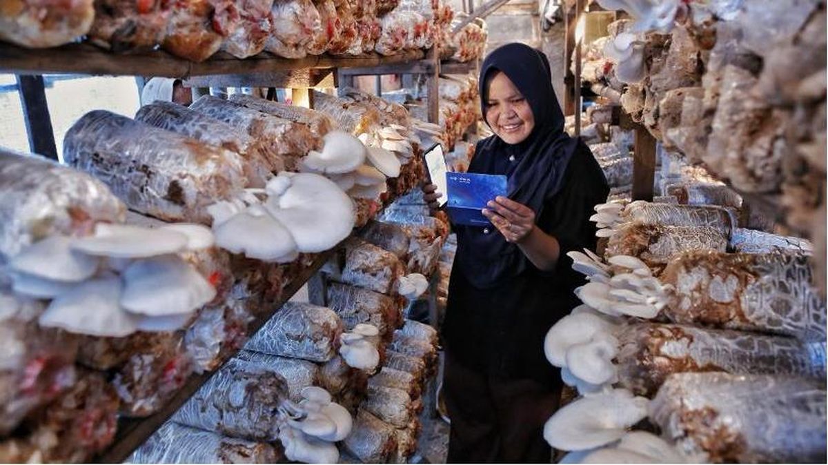 Indeks Bisnis UMKM BRI Q2 2026 Capai 102,1: Ketahanan UMKM Terjaga