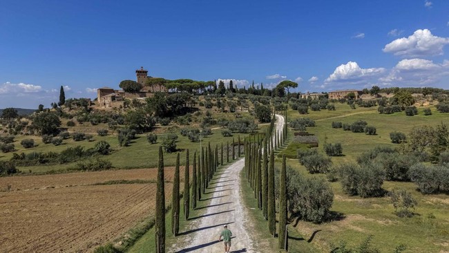 A person walks along a cypress-lined road in the countryside in Pienza, Italy, September 7, 2026. REUTERS/Ilan Rosenberg