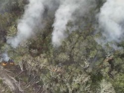 Lahan Seluas 5 Hektare di Beltim Terbakar, Basarnas Berjibaku Padamkan Api
