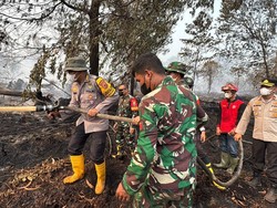 Satgas Padamkan Kebakaran Hutan Gambut Londerang Jambi