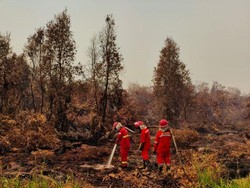Kenapa Karhutla di Kalimantan Sulit Dipadamkan? Api Menjalar dalam Gambut