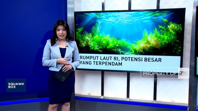 Video: Rumput Laut RI, Potensi Besar Yang Terpendam