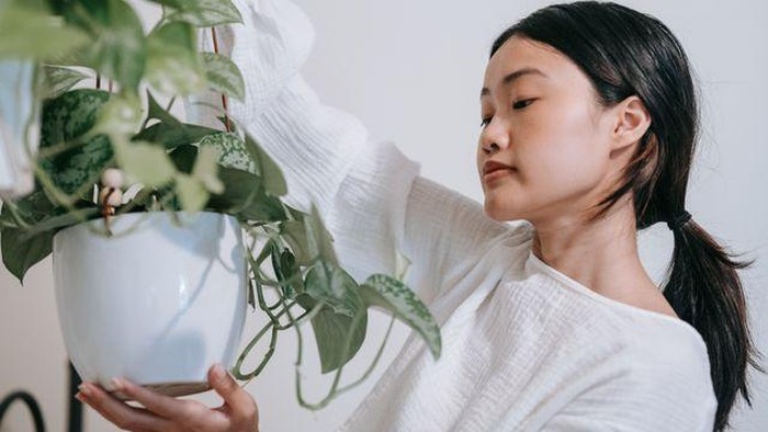 5 Zodiak yang Dikenal Peduli dan Aktif Melestarikan Lingkungan