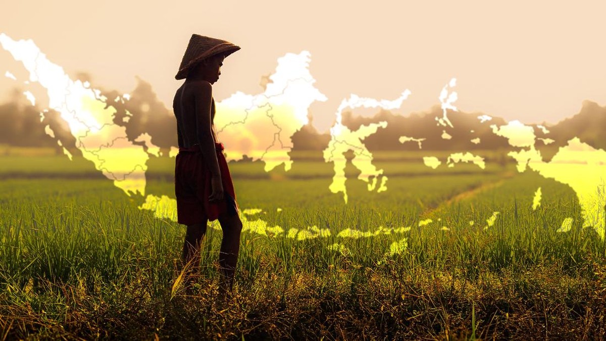 10 Kabupaten/Kota dengan Pekerja Sektor Pertanian Terbanyak