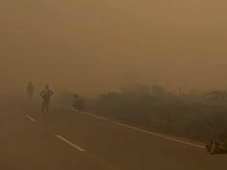 Jarak Pandang di Sampit Cuma 150 Meter, Kabut Asap Pekat saat Siang-Sore