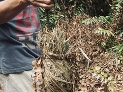 Benda Mirip Alat Pembakar Ditemukan di Lahan Kosong Palangka Raya