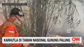 Dampak Kebakaran Hutan dan Lahan