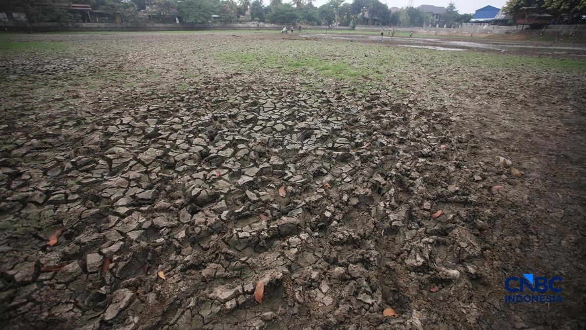 Penampakan Danau Cinere Depok Mengering, Muncul Daratan-Tanah Retak