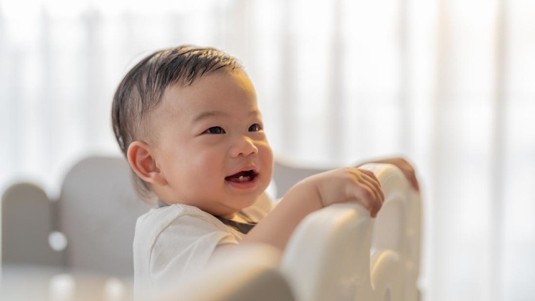 gigi bayi