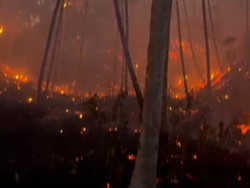Bak Lautan Api, 20 Hektare Lahan di Minahasa Utara Terbakar