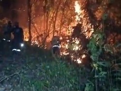 100 Hektare Lahan di Polman Terbakar, Api Belum Padam