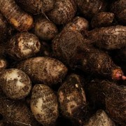 7 Manfaat Talas untuk Kesehatan, Bisa Jadi Pilihan Camilan Sehat