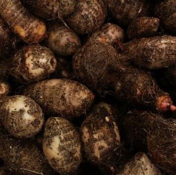 7 Manfaat Talas untuk Kesehatan, Bisa Jadi Pilihan Camilan Sehat