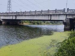 DLH DKI Bersihkan Aliran Kanal Banjir Timur yang Menghijau Bak Matca