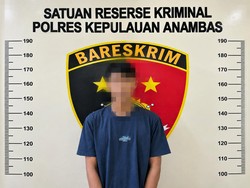 Remaja 18 Tahun di Anambas Ditangkap Gegara Cabuli Anak Perempuan