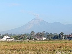 Status Siaga, Gunung Semeru 27 Kali Meletus dalam 6 Jam