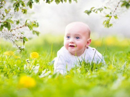 150 Nama Bayi Terinspirasi Bunga Dandelion dan Artinya untuk Laki-laki dan Perempuan
