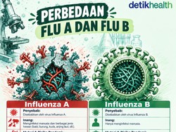 Infografis: Influenza Tipe A dan B, Apa Saja Sih Bedanya?