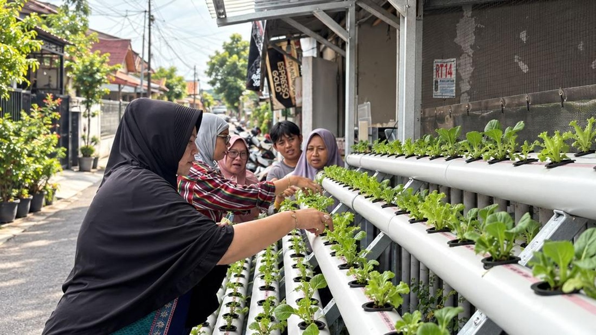 Program Agro Urban Madani Dorong Ketahanan Pangan Perkotaan