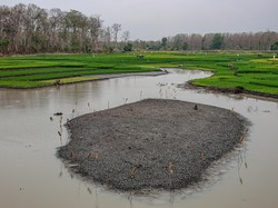 Video: El Nino Ubah 98 Zona Musim Hujan RI Jadi Kemarau Panjang