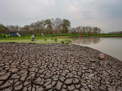 Apa Itu Fenomena El Nino Sangat Kuat yang Disebut-sebut BMKG?