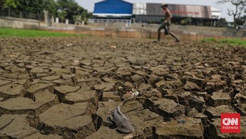 Danau Cinere yang biasanya menampung limpasan air hujan kini mengering. (CNN Indonesia/Febria Adha L)