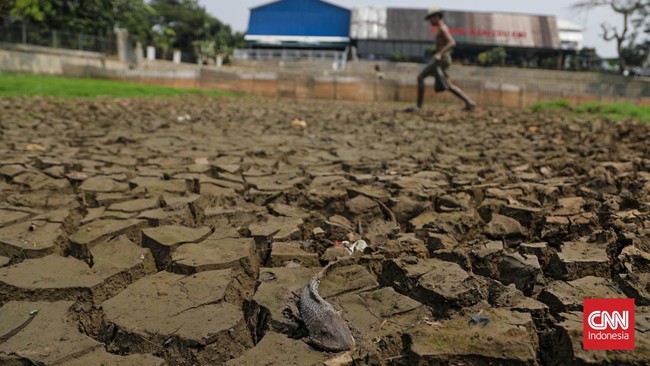 Danau Cinere yang biasanya menampung limpasan air hujan kini mengering. (CNN Indonesia/Febria Adha L)