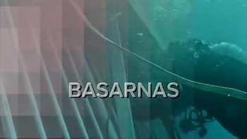 Basarnas Temukan Dua Korban di Dalam Badan KM Kapal Virgo 8