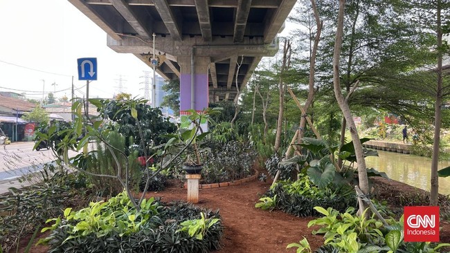 Di bawah Tol Becakayu, Jakarta Timur, terdapat sebuah kegitan perkebunan alias urban farming.
