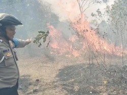 Medan Sulit dan Air Kering Hambat Pemadaman di TN Way Kambas