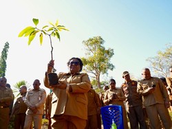 Gerakan Indonesia ASRI, Wamendagri Dorong Penghijauan di NTT