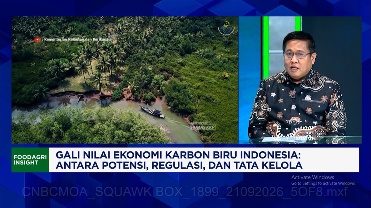 Video:KKP Gali Potensi Ekonomi Karbon Biru, Bisa Hasilkan Rp77 Juta/ha