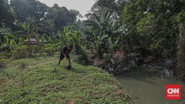 Majelis Sayur, jaringan kolektif para pegiat tani kota di Jagakarsa ini berupaya menggerakkan sekolah tani. Komunitas itu dirintis sejak 2021.