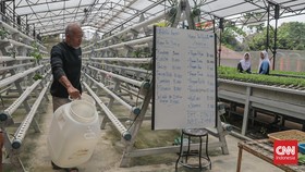 Majelis Sayur, jaringan kolektif para pegiat tani kota di Jagakarsa ini berupaya menggerakkan sekolah tani. Komunitas itu dirintis sejak 2021.