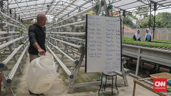 Majelis Sayur, jaringan kolektif para pegiat tani kota di Jagakarsa ini berupaya menggerakkan sekolah tani. Komunitas itu dirintis sejak 2021.