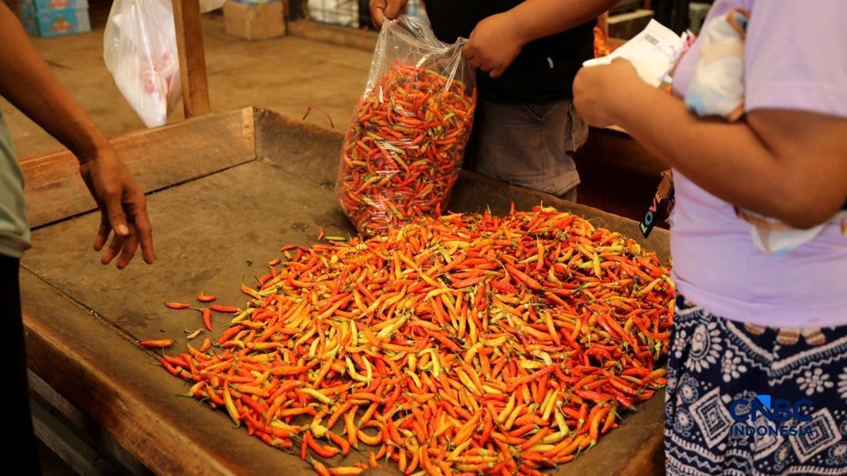 Cabai Dorong Inflasi, Harga-harga di Bulan Oktober Diramal Makin Panas