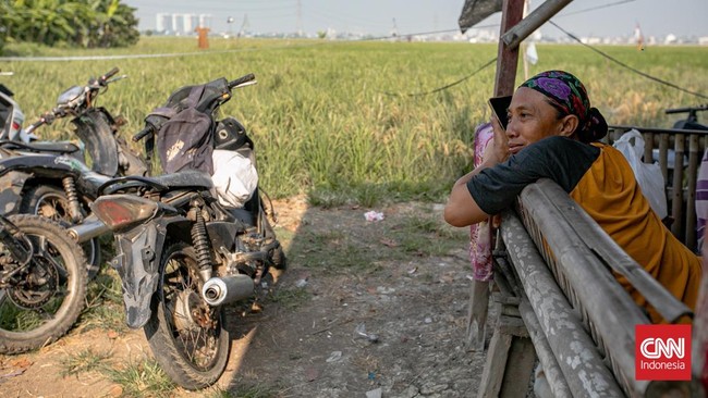 Petani mengangkat padi yang dipanen di areal persawahan Rorotan, Jakarta Utara. (CNNIndonesia/Adi ibrahim)