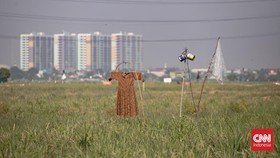 Berdasarkan data Dinas KPKP DKI, lahan sawah di Jakarta luasnya tinggal kurang dari 1 persen dari total luas wilayah ibu kota negara RI itu.