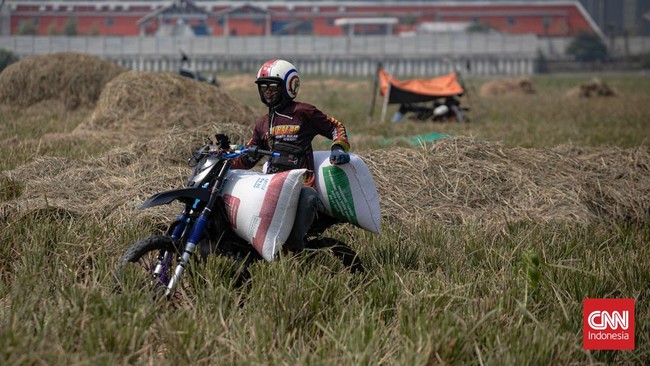 Petani mengangkat padi yang dipanen di areal persawahan Rorotan, Jakarta Utara. (CNNIndonesia/Adi ibrahim)