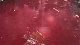 Heboh Kolam di Gunung Kidul Berubah Merah, Warga Berebut Ambil Air