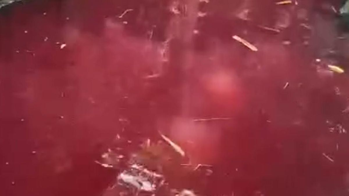 Heboh Kolam di Gunung Sindur Berubah Merah, Warga Berebut Ambil Air