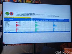 6.333 Hektare Lahan Terbakar, Karhutla Kaltim Masuk Prioritas Nasional