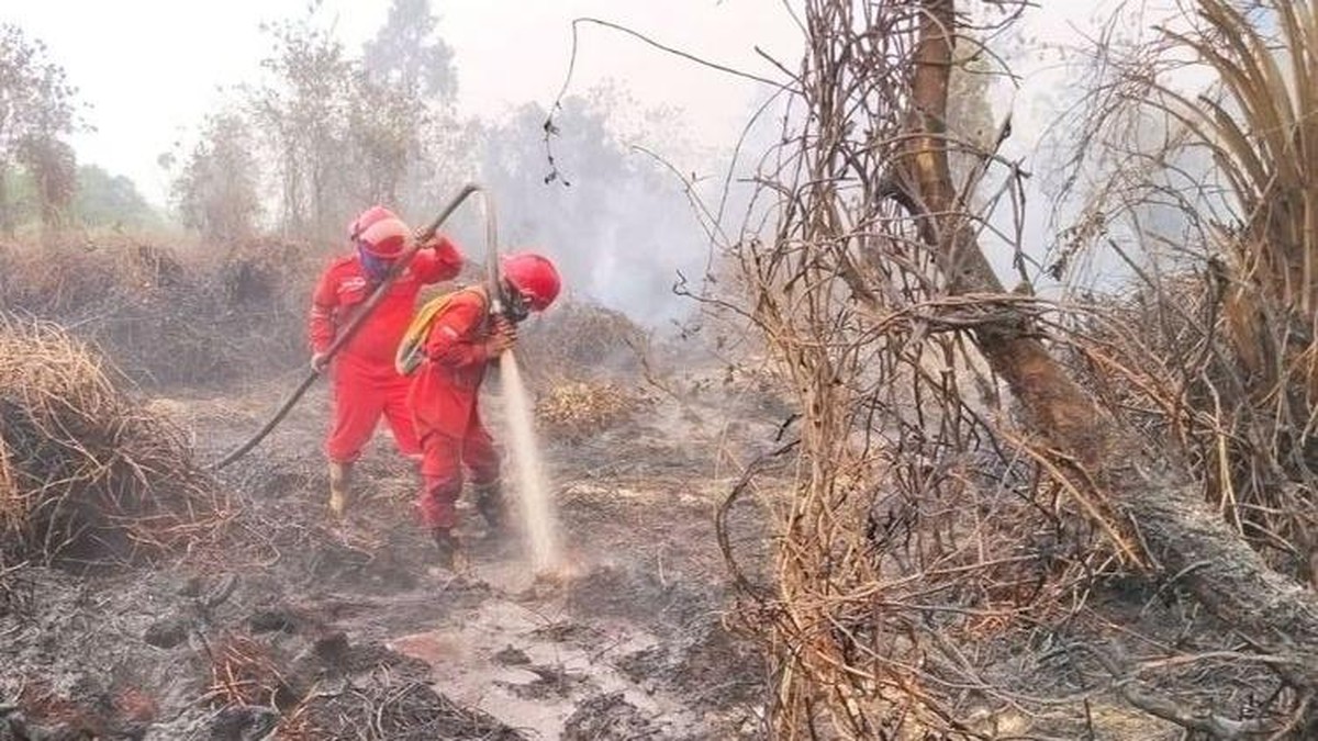 Prabowo Perintahkan Raja Juli Tajam ke atas, Langsung Cabut 5 Izin 