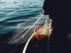 Selain Trawl, Ini Jenis-jenis Alat Tangkap Ikan yang Dilarang Pemerintah