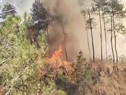 Hutan di Lereng Gunung Merapi Terbakar Sore Ini