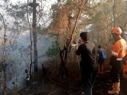 Luas Kebakaran Hutan di Lereng Merapi Capai 5 Hektare