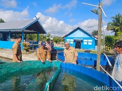 Kemarau Keringkan Sumber Air, Pembenihan Ikan di Kobar Ditunda